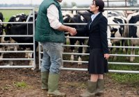 Mujer de negocios estrechando la mano con el agricultor - foto de stock
