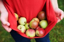Imagem cortada de criança que transporta maçãs na camisa — Fotografia de Stock