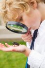Мальчик осматривает жука с помощью лупы — стоковое фото