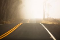 Сідлова дорога біля лісу в тумані — стокове фото