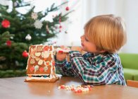 Мальчик украшает пряничный домик — стоковое фото