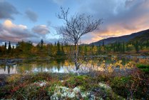 Paysage aux couleurs automnales aux lacs polygonaux, montagnes Khibiny, péninsule de Kola, Russie — Photo de stock