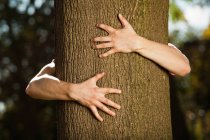 Adolescente ragazzo abbraccio albero nel parco — Foto stock