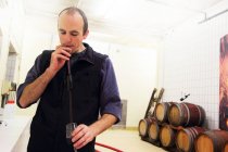 Винодел дегустации вина в промышленном винном погребе — стоковое фото