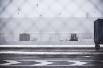 Containers in snowy harbor, selective focus — Stock Photo