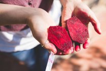 Cropped shot of woman holding halved fresh beetroot in garden — Stock Photo
