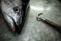 Roher Fisch und Haken — Stockfoto