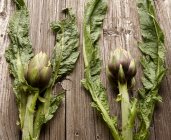Close up of two ripe artichokes on wooden table — Stock Photo