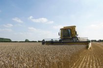 Combine harvester in field — Stock Photo