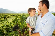 Мальчик кормит отца виноградом — стоковое фото