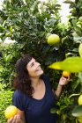 Retrato de Mulher escolhendo mandarinas — Fotografia de Stock