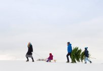 Família caminhando juntos na neve — Fotografia de Stock