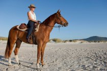 Montar a caballo en la playa - foto de stock