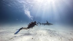 Vista subaquática do mergulhador masculino observando tubarão perto do fundo do mar — Fotografia de Stock