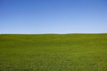 Campo verde y cielo azul - foto de stock