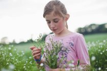 Girl picking flowers in field — Stock Photo