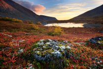 Autumn colours in Malaya Belaya River valley at dusk, Khibiny mountains, Kola Peninsula, Russia — Stock Photo