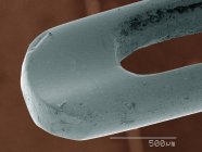 Micrographie électronique à balayage coloré de l'aiguille — Photo de stock