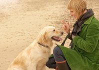 Frau trainiert Hund am Strand Herbst — Stockfoto