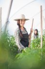 Jeune femme travaillant dans une serre de légumes — Photo de stock