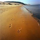 Huellas en arena en la playa - foto de stock