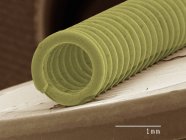 Coloured scanning electron micrograph of coil — Stock Photo