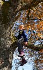 Ragazzo che gioca sull'albero, concentrati sul primo piano — Foto stock