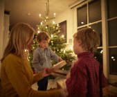 Mother and sons celebrating christmas together — Stock Photo