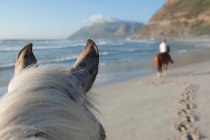 Cavalo peludo branco montando na praia — Fotografia de Stock