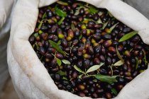 Sac rempli d'olives fraîches — Photo de stock