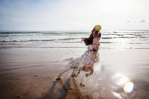 Cão captura bola de tênis na praia — Fotografia de Stock