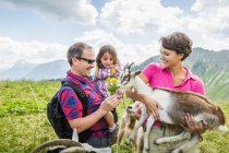 Pais e filha que alimentam cabras, Tirol, Áustria — Fotografia de Stock
