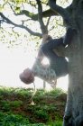 Fille grimpant arbre dans le champ — Photo de stock