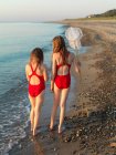 Вид сзади на девушек, идущих по скалистому пляжу — стоковое фото