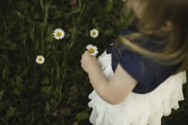Sobre a visão do ombro da menina pegando flores da margarida — Fotografia de Stock