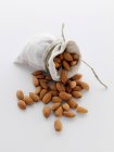Close up shot of almonds sack — Stock Photo