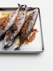 Vue rapprochée de la casserole de poissons grillés — Photo de stock