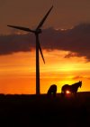 Лошади и ветряная турбина на закате — стоковое фото