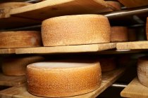 Trozos de queso grandes en tablas de madera en la tienda - foto de stock