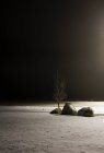 Paisaje nevado por la noche - foto de stock