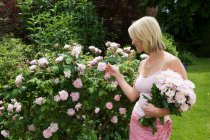 Femme regardant des roses dans le jardin — Photo de stock