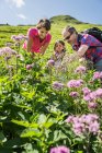 Eltern und Tochter entdecken Pflanzen, Tirol, Österreich — Stockfoto