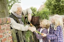 Grandfather and grandchildren by gate with carrots — Stock Photo