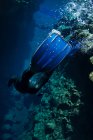 Primo piano colpo di pinne subacquee subacquee — Foto stock