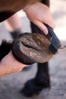 Man cleaning horse's hoof with brush — Stock Photo