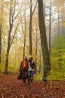 Women walking dog in forest — Stock Photo