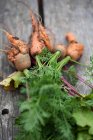 Крупним планом знімок свіжої моркви і буряків — стокове фото