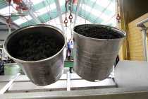 Behälter mit Trauben im industriellen Weinkeller — Stockfoto