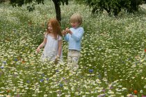 Crianças andando no campo de flores — Fotografia de Stock