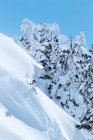 Лыжник спускается по снежному склону — стоковое фото